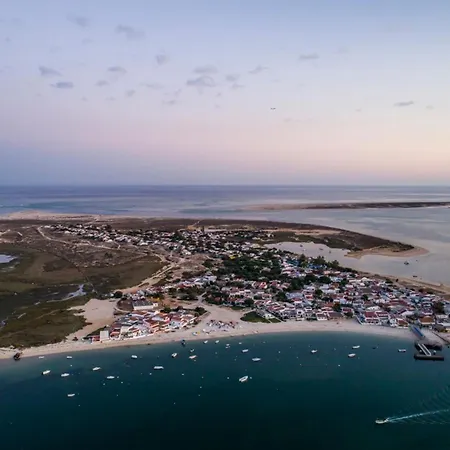 Welcoming With Sea View - 70 M² -